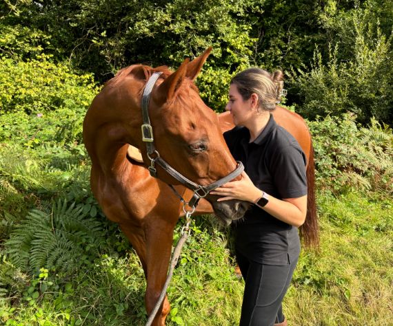 Equine Ostepath in West Sussex