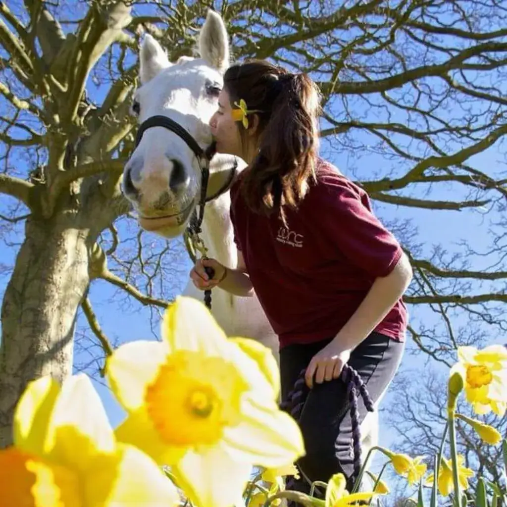 About Tabitha the Animal Osteopath