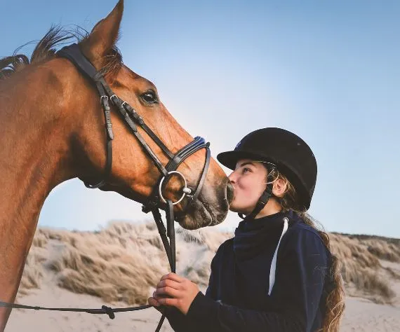 Holistic care horses